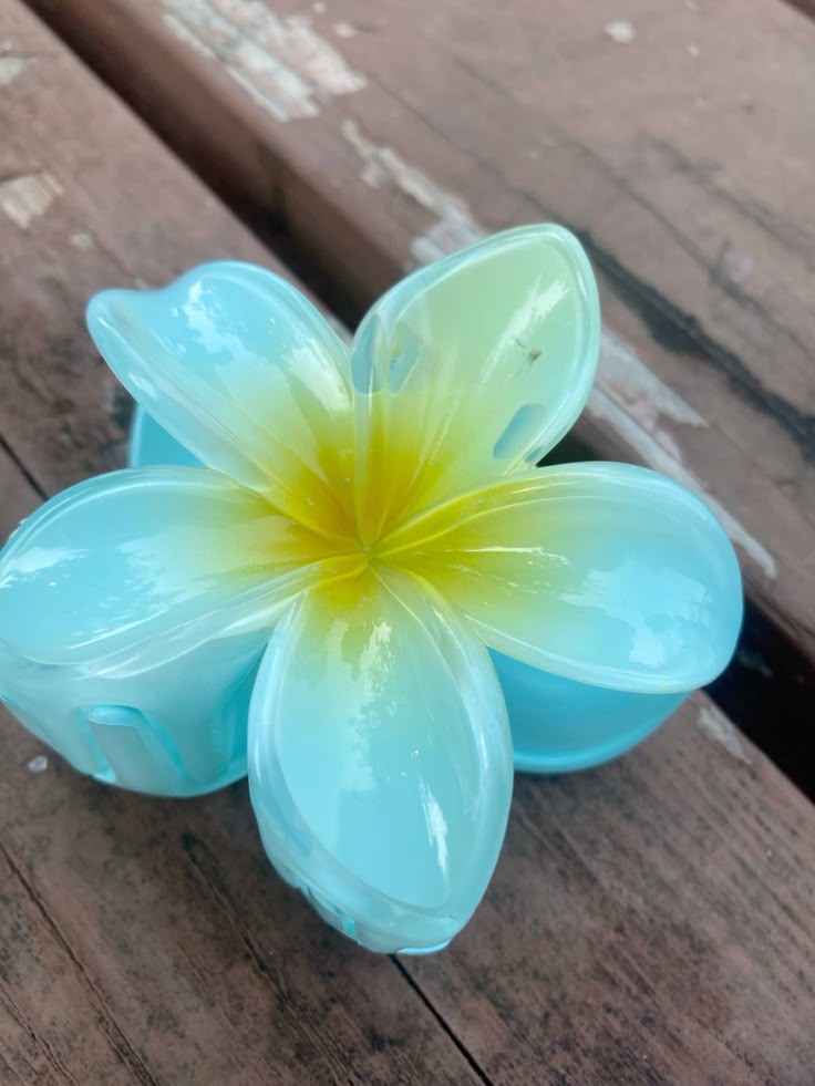 Pince à Cheveux Fleur (petit format)